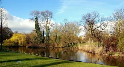 a view of a river with trees and a field at Beautiful quiet Apt in the center of Amsterdam in Amsterdam