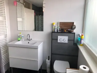 a bathroom with a sink and a toilet and a mirror at Family beach house in Egmond aan Zee