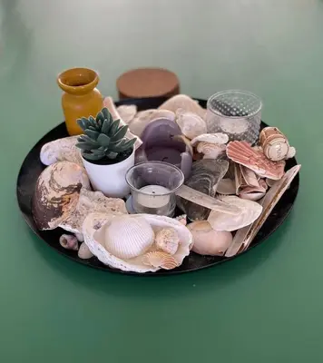 a plate of shells and a cactus on a table at Kuifje aan Zee in Egmond aan Zee