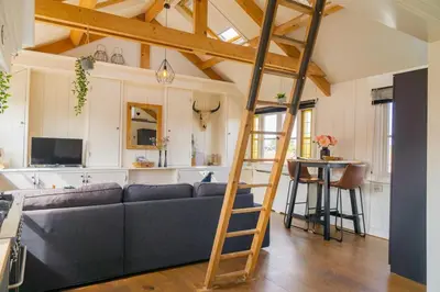 a living room with a blue couch and a ladder at Pat's home in Alkmaar