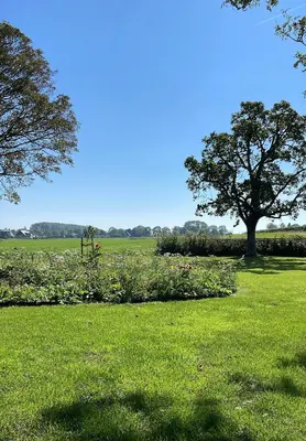a field with a tree in the middle of a field at Het Kerspel in Hoogkarspel