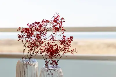 a white vase with red flowers in a window at Lovina Beach House by Urban Home Stay in Egmond aan Zee