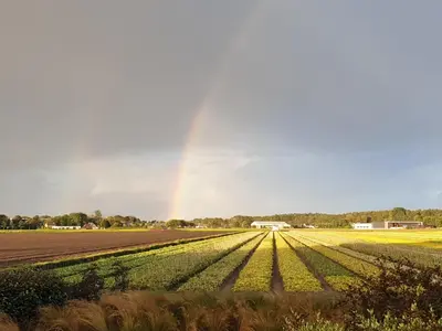 a rainbow in the sky over a field of crops at Appartementen De Wilg - Adults only in Noordwijk aan Zee