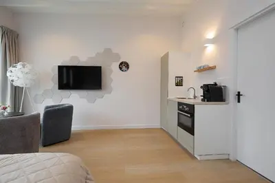 a living room with a kitchen and a sink at Tulip Lodges in Voorhout