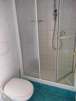 a bathroom with a shower with a toilet and a glass shower stall at Vroonenburch in Burgerbrug
