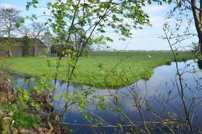 a stream in a field with a barn and sheep in the distance at Bed and breakfast Hoeve Spoorzicht in Papekop