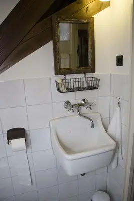 a bathroom with a sink and a mirror on the wall at Boerderij Honswijck in Weesp