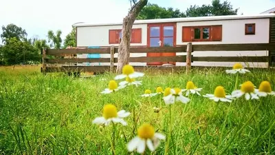 a field of flowers in front of a house at Boerderij Honswijck in Weesp