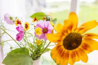 a bunch of flowers in a vase in a window at Group accommodation Huize Blokland on nature farm - 14p in Hem