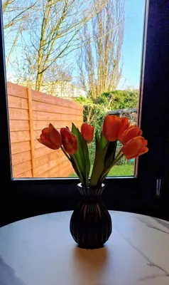 a vase of red tulips sitting on a table with a window at Guesthouse Purmerend near Amsterdam Volendam in Purmerend