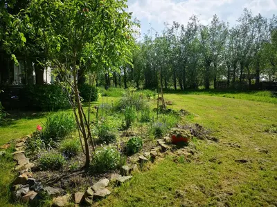 a garden with a tree and a rock wall at Modern Cozy Asian Style bedroom with Kingsize Spa bath in Westbeemster