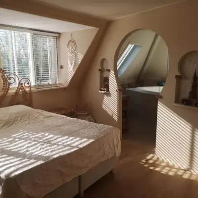 Modern Cozy Asian Style bedroom with Kingsize Spa bath