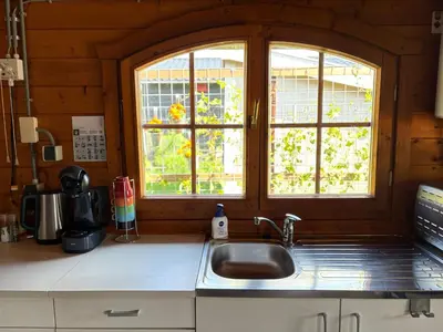 a kitchen with a sink and two windows at De Narcis in Lisse