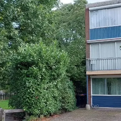 Hagerstudio