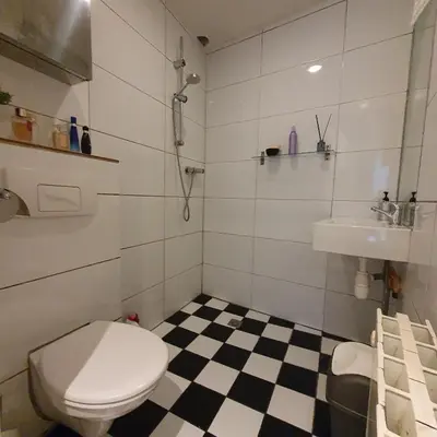 a bathroom with a toilet and a sink at Zoet Amsterdam in Amsterdam