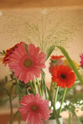 a bunch of pink flowers in a vase at Juneberry Ecolodge Bergen in Bergen