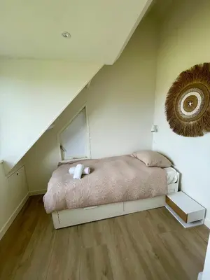 a bedroom with a bed with a mirror on the wall at Holiday home close to beach and Keukenhof in Noordwijkerhout