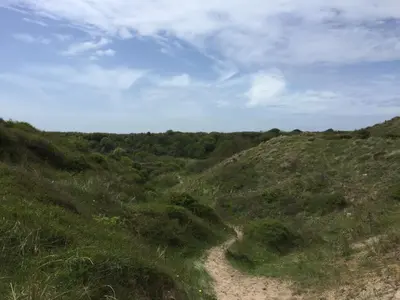 a dirt path on a grassy hill with trees at Almost At The Beach in Wijk aan Zee