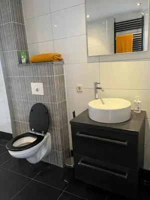 a bathroom with a toilet and a sink at Appartement aan het water in Alkmaar
