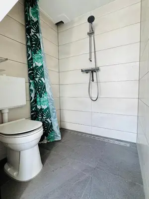 a bathroom with a toilet and a shower at BeachHouse Oranje Nassau in Noordwijk aan Zee