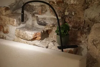 a plant in a pot next to a stone wall at Domnacht aan de gracht in Utrecht