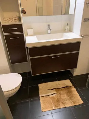 a bathroom with a sink and a toilet and a rug at Lounge Park Apartment in Amsterdam