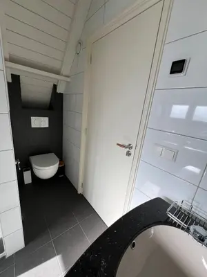 a bathroom with a toilet and a sink at Rhynhoven Lodge in Hazerswoude-Rijndijk