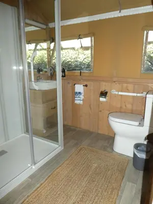 a bathroom with a shower and a toilet and a sink at Zorgcamping De Ruif De Peppelhoeve in Stoutenburg