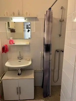 a bathroom with a sink and a shower at B&B Calypso Amsterdam in Amsterdam
