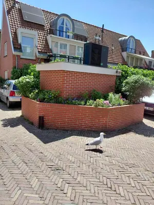 a seagull standing on a brick sidewalk in front of a house at La Veranda in Zandvoort