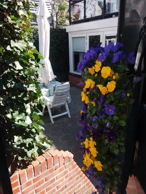 a garden with a chair and a bunch of flowers at La Veranda in Zandvoort