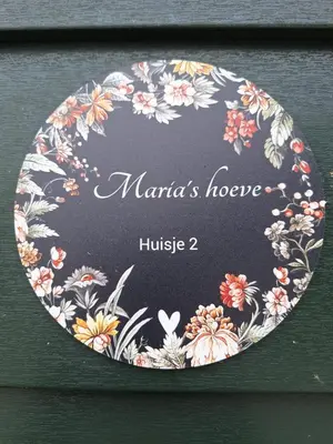 a plate with a flower pattern on a green wall at Maria's hoeve Abcoude huisje 2 dichtbij Amsterdam in Abcoude