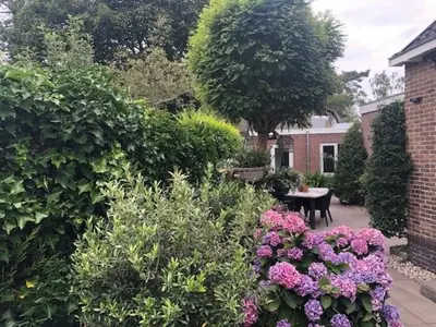a garden with purple and pink flowers and a table at BY BABS guesthouse Bergen nh in Bergen