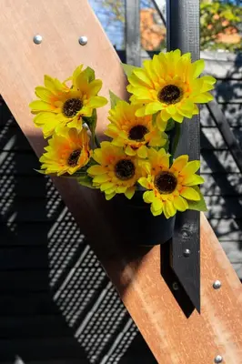 a bunch of yellow flowers in a pot on a bench at B&B Sunflower Leiden in Leiden