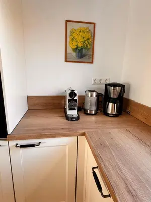 a kitchen with a counter with a blender and a vase of flowers at Vakantiehuis aan meertje op Recreatiepark De Wielen - 85 in Sint Maarten