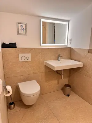 a bathroom with a toilet and a sink and a mirror at Vakantiehuis aan meertje op Recreatiepark De Wielen - 85 in Sint Maarten