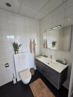 a bathroom with a sink and a toilet and a mirror at Hart van Warder in Warder