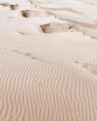 a desert with lots of tracks in the sand at Beleef Noordwijk strandhuisje in Noordwijk aan Zee