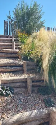 a set of wooden stairs with grass and weeds at Wellness Appartement Duinpoort in Castricum