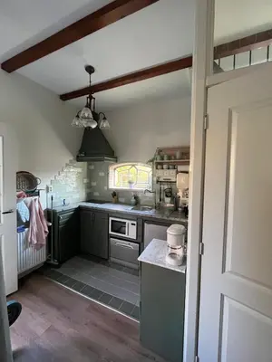 a kitchen with green cabinets and a stove top oven at Het Koetshuis in Gouda