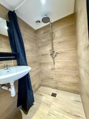 a bathroom with a shower and a sink at Holiday Home Vijfhuizen 2pers in Vijfhuizen