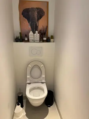 a bathroom with a toilet with a picture of an elephant at Apartment in Oude-Pijp in Amsterdam