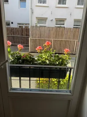 a window with a pot of flowers on a balcony at Apartment in Oude-Pijp in Amsterdam