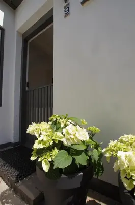 two potted plants sitting in front of a door at Zomerhuis aan Zee in Zandvoort