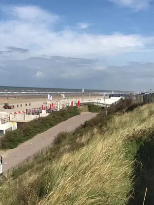 a sandy beach with a path to the beach at Zomerhuis aan Zee in Zandvoort