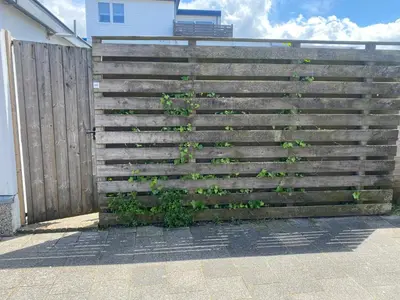a wooden fence with plants growing on it at Zomerhuis aan Zee in Zandvoort