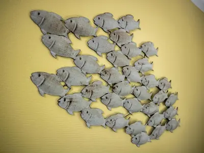a heart shaped formation of grey cookies at De Groeter Lodge in Groet