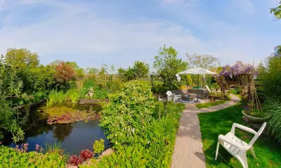 a garden with a pond and a white bench and an umbrella at B&B Evergreen in Wijdewormer