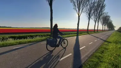 a person riding a bike down a road with red tulips at B&B Evergreen in Wijdewormer