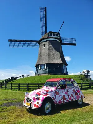a polka dotted car parked in front of a windmill at B&B Evergreen in Wijdewormer